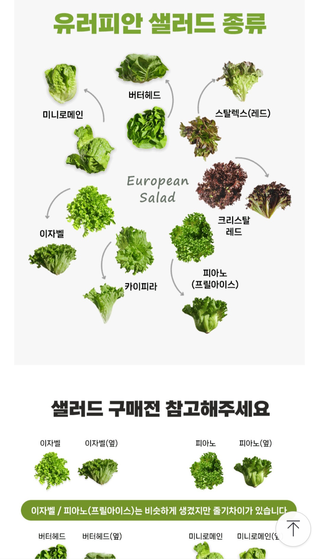 KakaoTalk_20250610_210016079_01.jpg